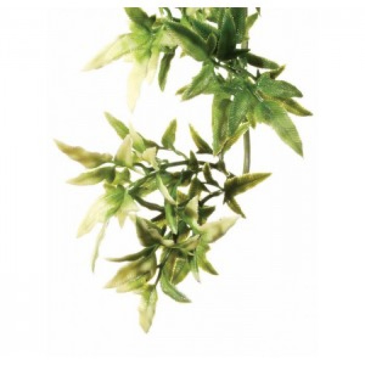 EXO TERRA PLANTA CROTON