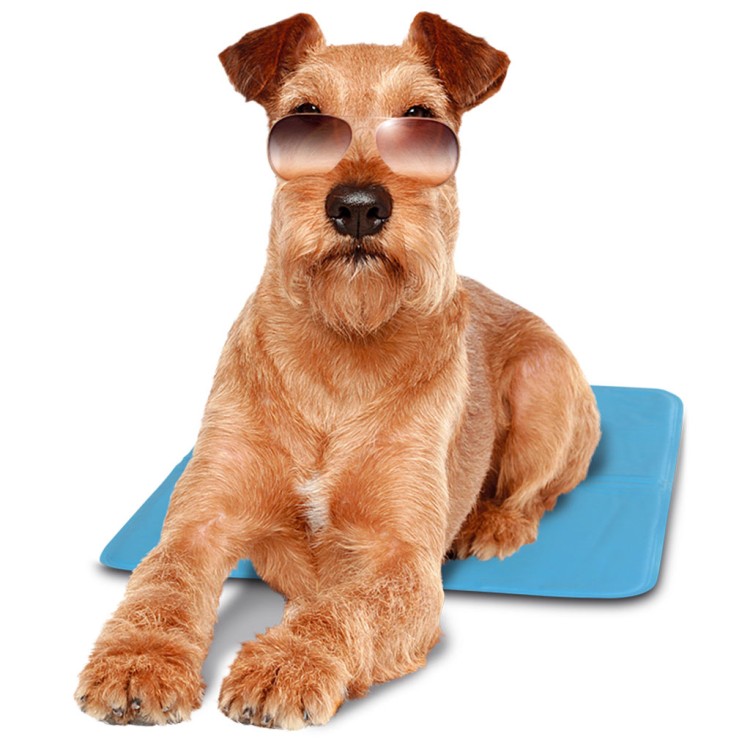 Covoras racoritor Cool Mat