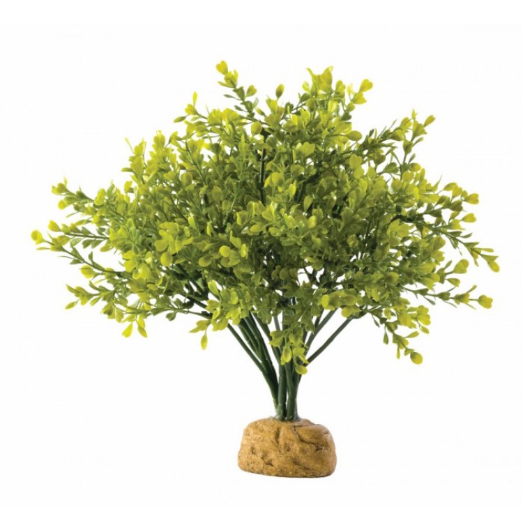 EXO TERRA PLANTA BOXWOOD BUSH PT2994