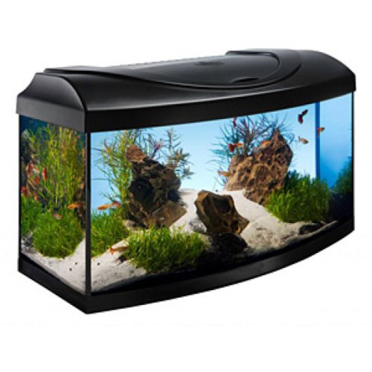 Acvariu Diversa 60 Curb Negru 54 L