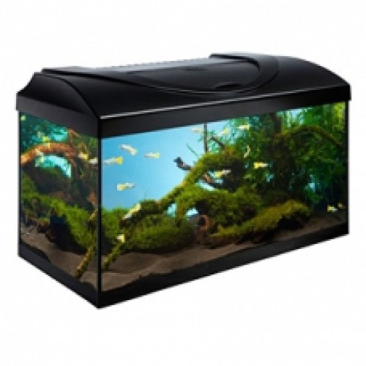 Acvariu Diversa 60 Negru 54 L