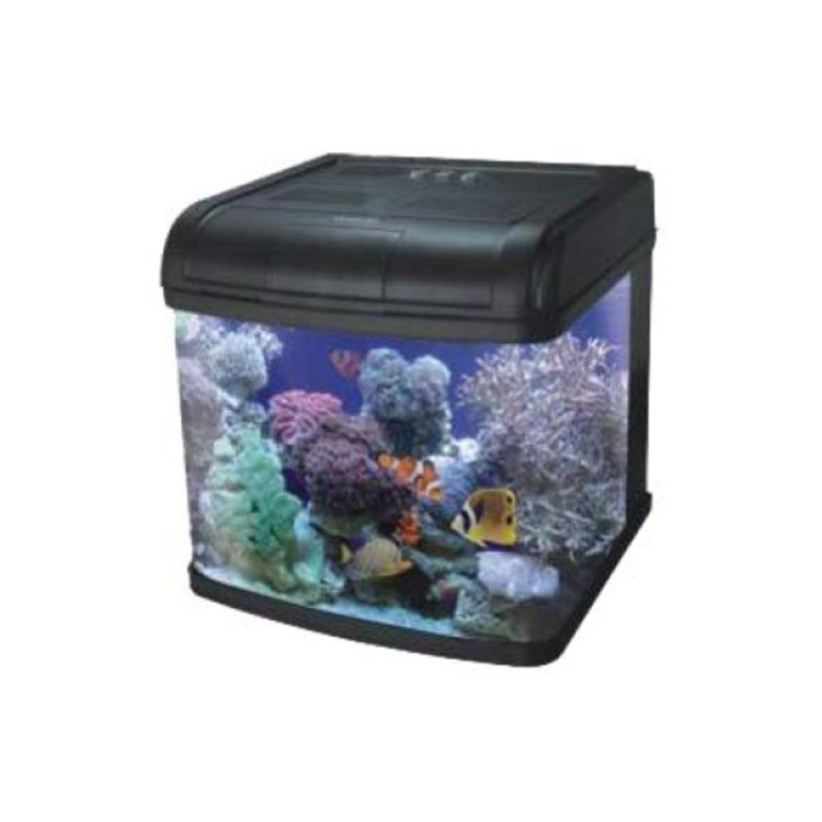 ACVARIU DMS 500 PL