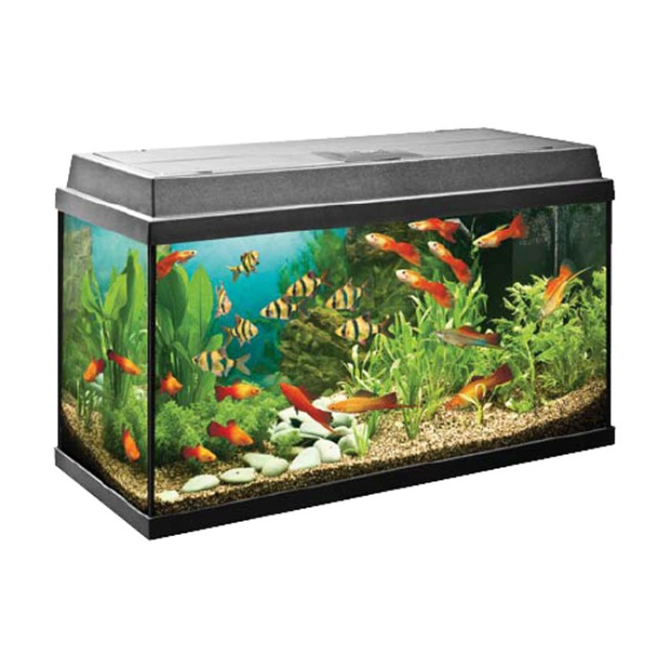 ACVARIU REKORD 800 NEGRU