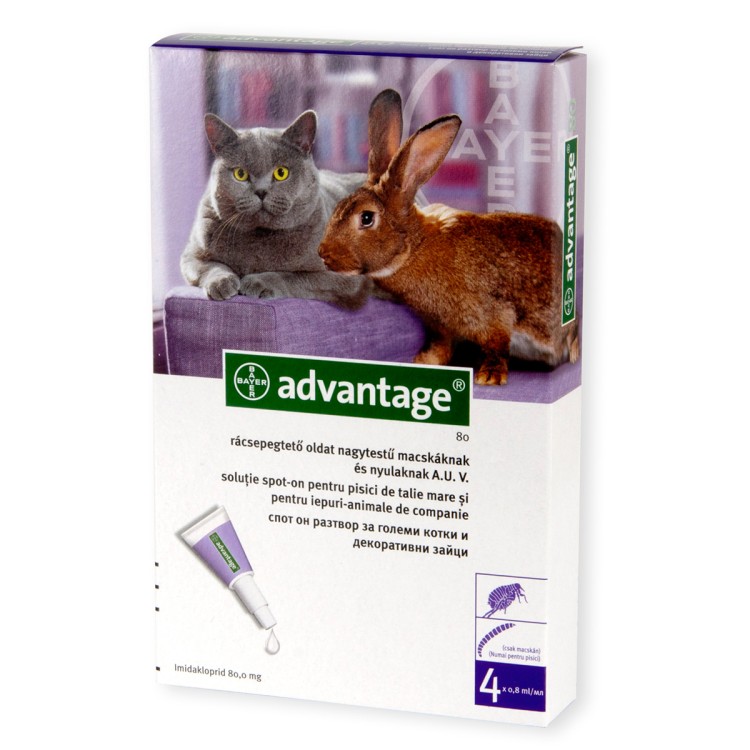 Advantage 80 Pisica / Iepure, 4 pipete