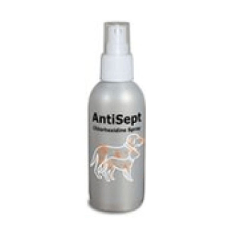 AntiSept 100 ml