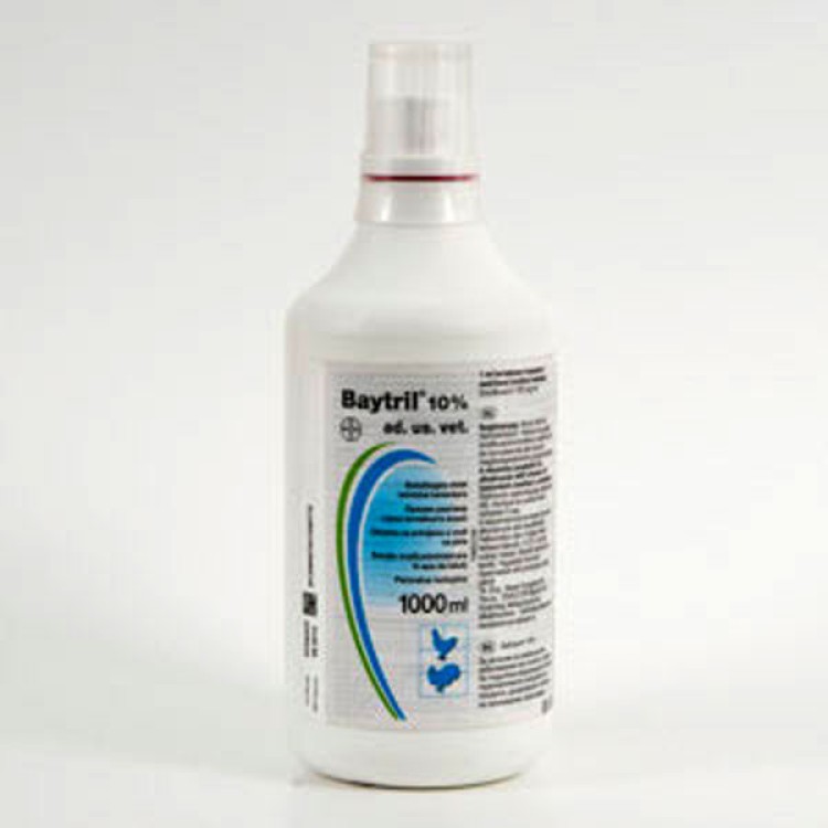Baytril 10% Solutie orala 1 L