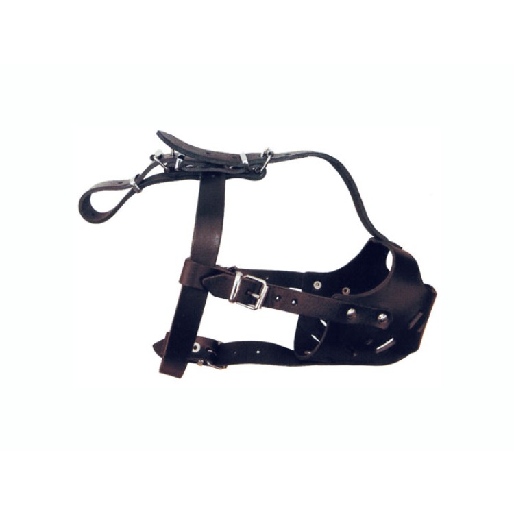 Botnita caine piele Ciobanesc German- PetMart Pet Shop Online
