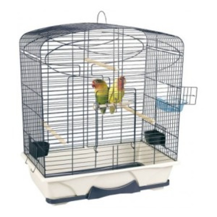 Colivie Classic Small