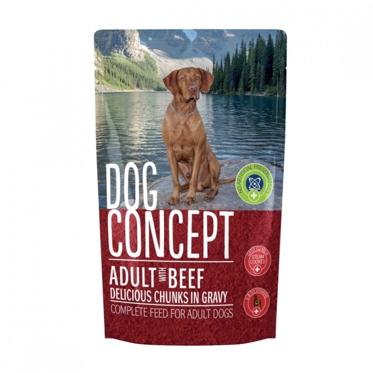 DOG CONCEPT VITA  PLIC 100 G