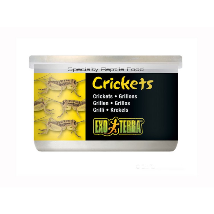 Hrana reptile Hagen Meniu Exo Terra Cricket Greiere XL 34 g