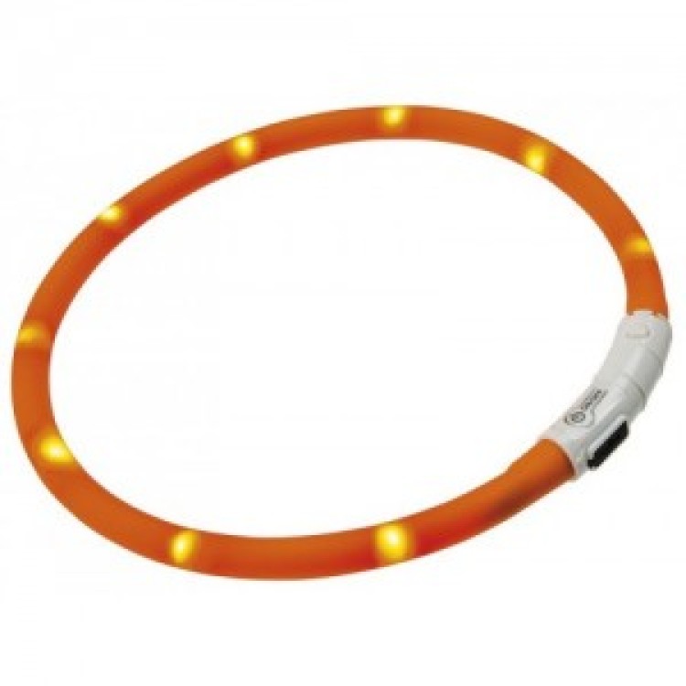 FERPLAST ZGARDA LUMINOASA