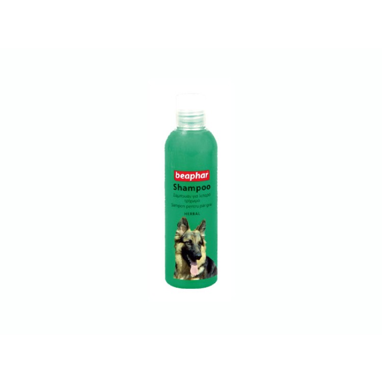 Şampon Caine Beaphar Păr Gras 250 ml