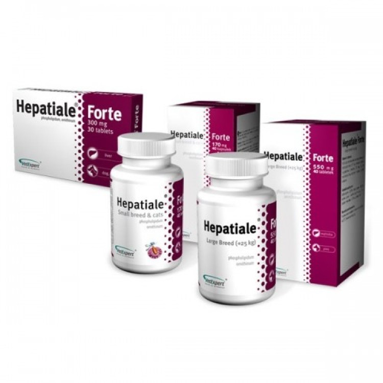 HEPATIALE FORTE LARGE BREED 550MG - 40 TABLETE