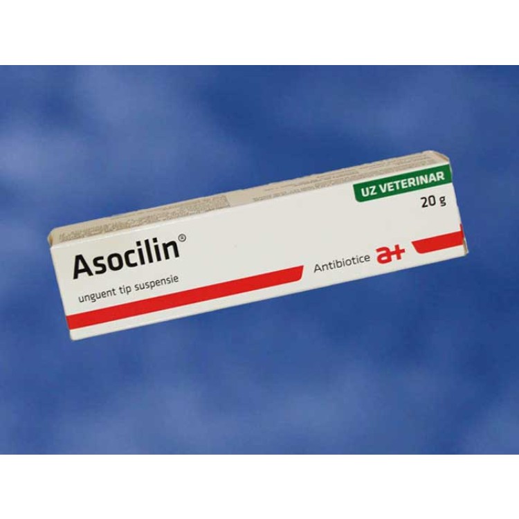 Asocilin 20 g unguent cu antibiotic 