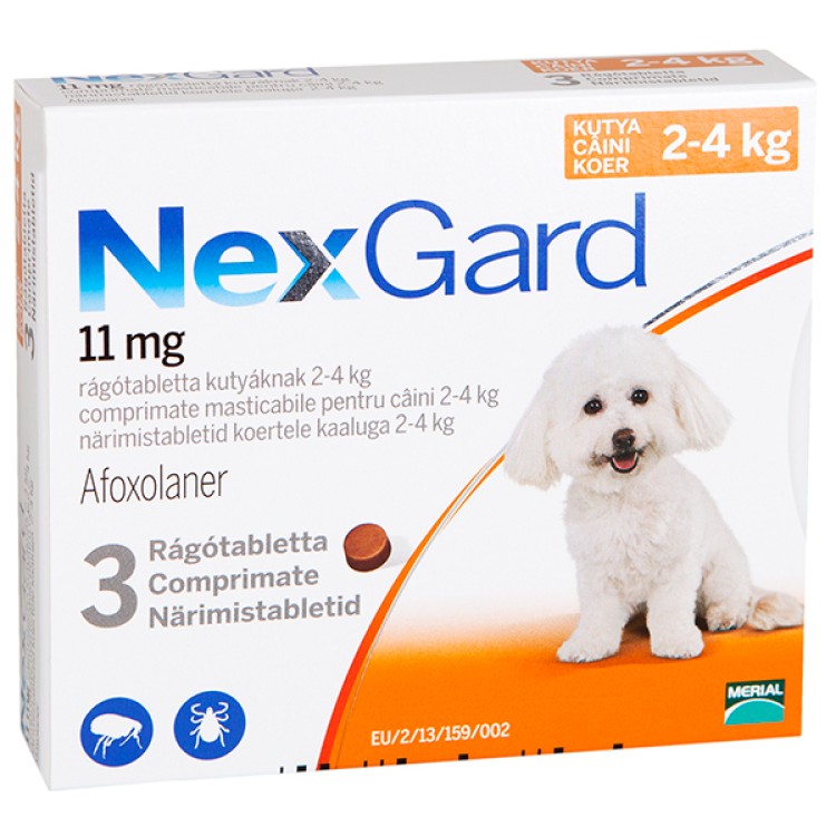 NEXGARD SMALL DOG  - 3 cpr masticabile ( 2-4 kg )