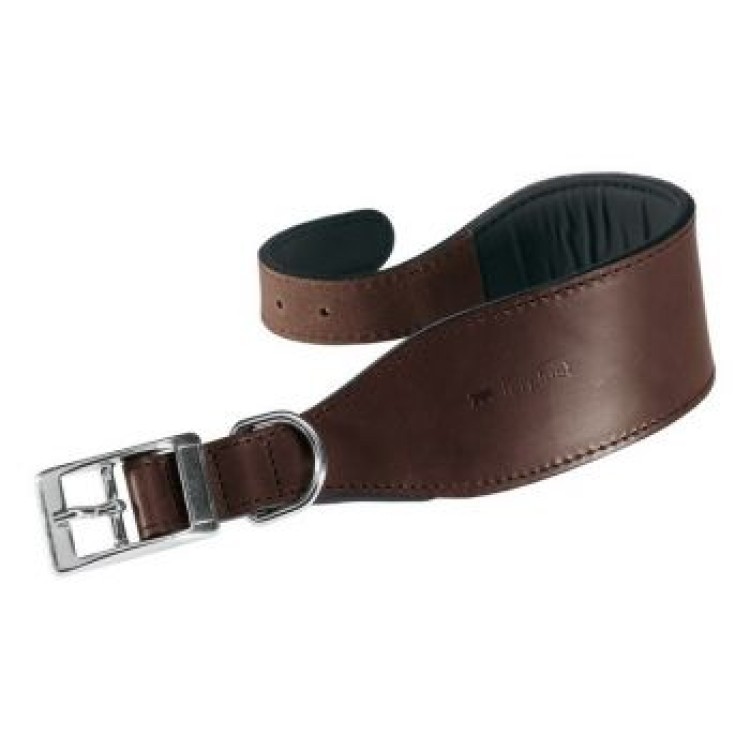 Zgarda caine Vip CW
