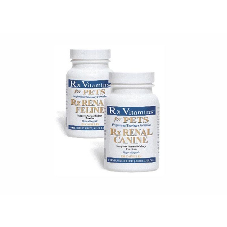 RX Renal Caine 120 capsule sustine functia renala 