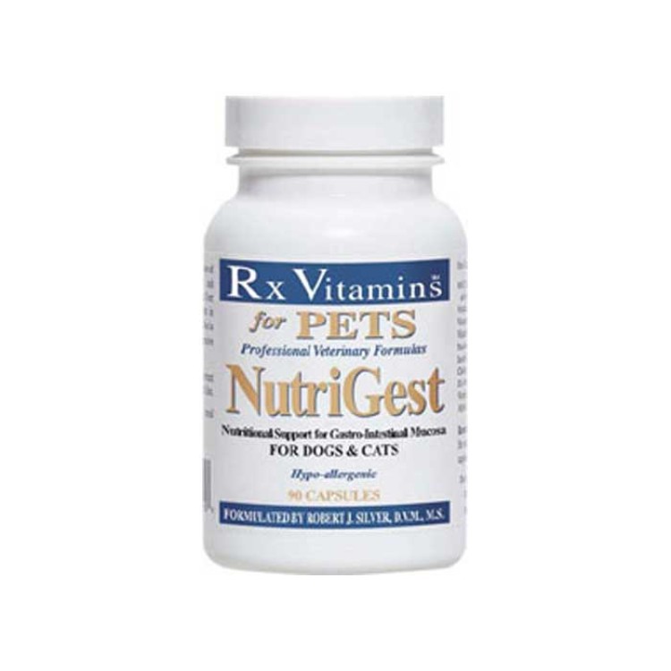 RX NutriGest 90 capsule reface flora intestinala