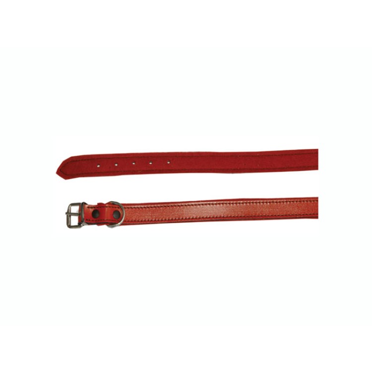 Zgarda caine tip C 40 cm