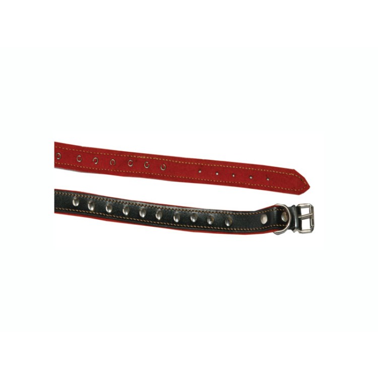 Zgarda caine tip D 37 cm 