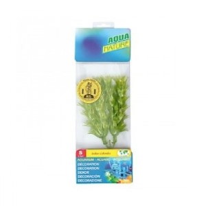 Planta Acvariu 20 cm