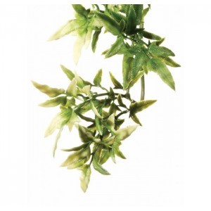 EXO TERRA PLANTA CROTON