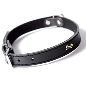 Zgarda piele caine Dingo-Negru-1,8 cm-45 cm