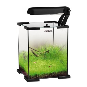 Acvariu AQUAEL Shrimp 20