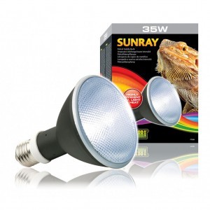 BEC EXO TERRA SUNRAY