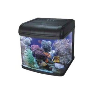 ACVARIU DMS 500 PL