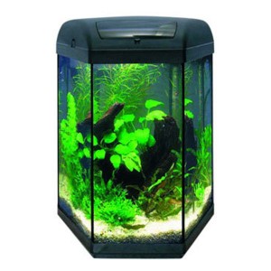 Acvariu AQUAEL Hexaset 60