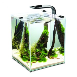 Aquael Acvariu Shrimp Smart 10 L Negru