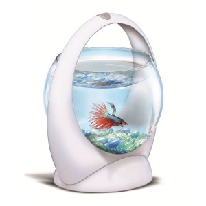 BOL TETRA BETTA RING 1.8 L