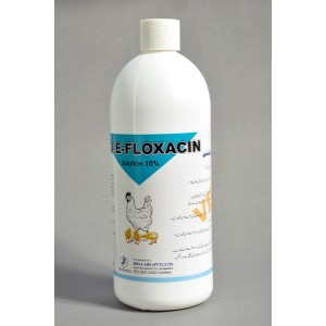 FLOXACIN 100MG/ML BIDON X 5 L