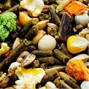 GARVO HRANA IEPURI RABBIT WITH CARROTFLAKES 20 KG 5081