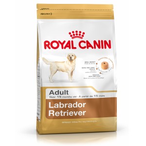 Royal Canin Labrador Retriever Adult