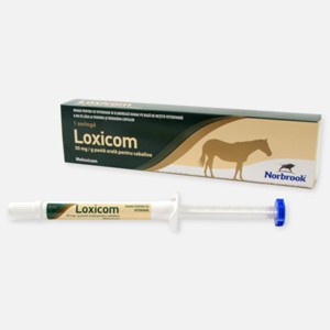 Loxicom Oral Pasta pentru Cai 8.4 g