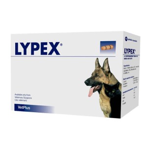 Lypex 60 capsule