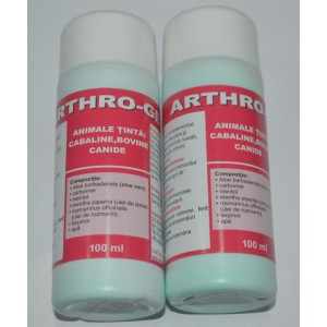 ARTHRO GEL, 100 ml