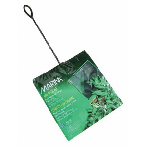 MINCIOC VERDE 20 cm