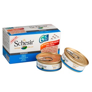 SCHESIR CAT 6x50GR TON