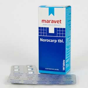 Norocarp 10 tab x 20 mg