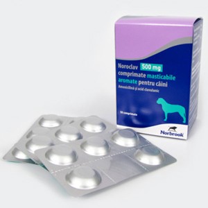 Noroclav 500 mg x 5 TABLETE MASTICABILE