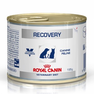 Royal Canin Recovery Dog & Cat 195g 