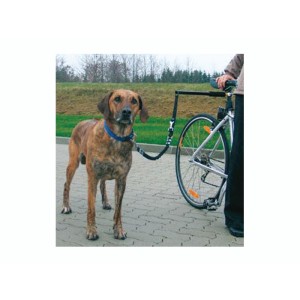 Dispozitiv caine Safety Bike