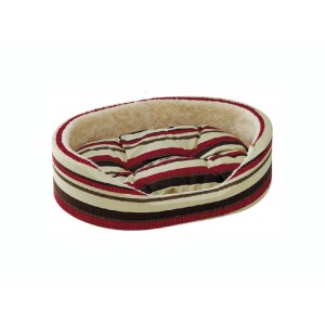 Set patut Dandy plus
