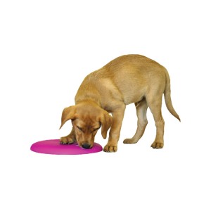 Jucarie caine Spinny (plastic) 
