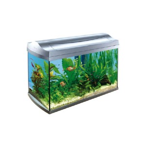 TETRA ACVARIU  AQUAART 60 L
