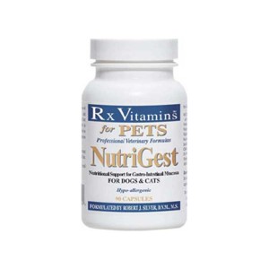 RX NutriGest 90 capsule reface flora intestinala
