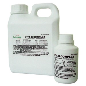 VITA B COMPLEX 1 L